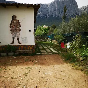 In Ecosistema Insetti E Animaletti Simpatici In Condivisione Casa di campagna